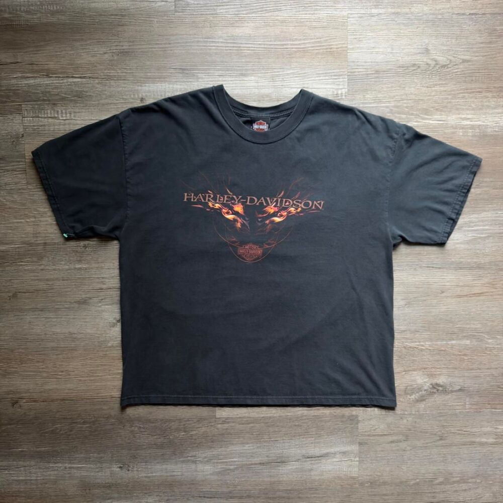 Harley-davidson Men's Black T-shirt